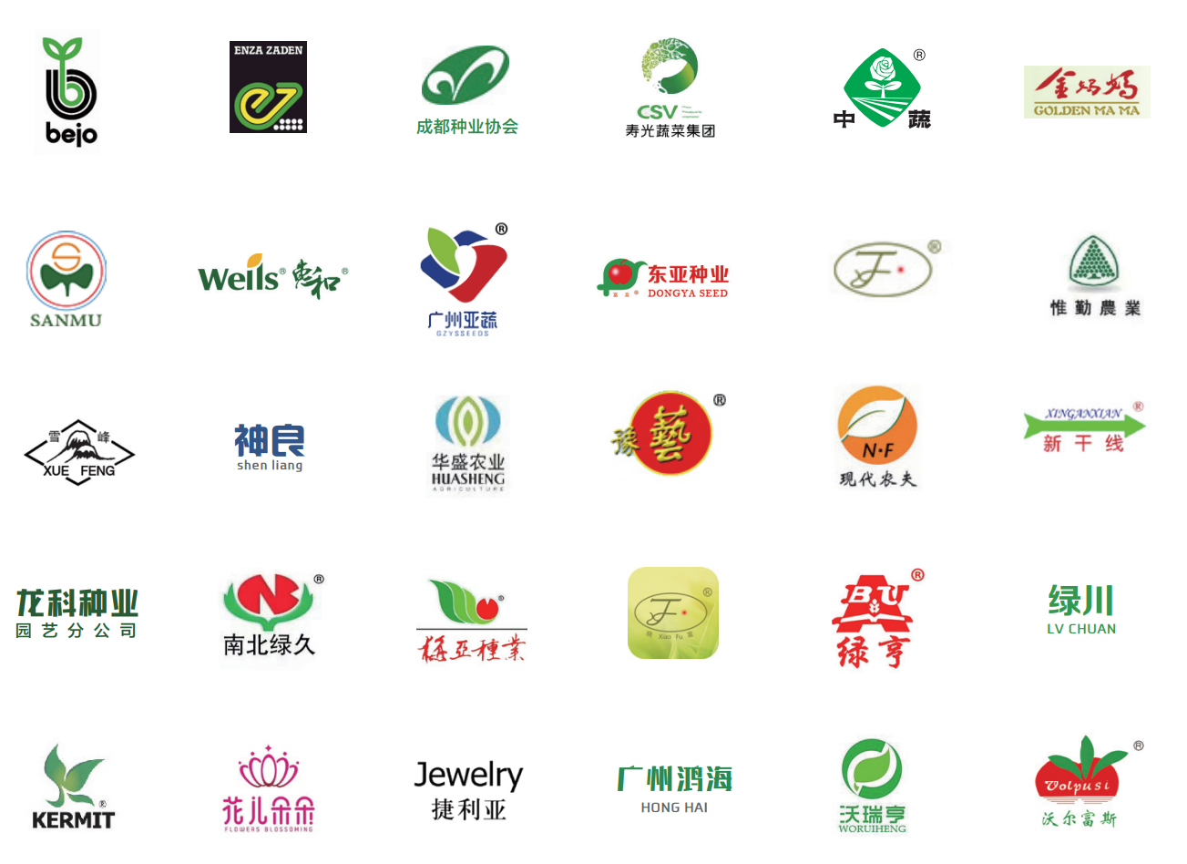 蔬菜种子.png