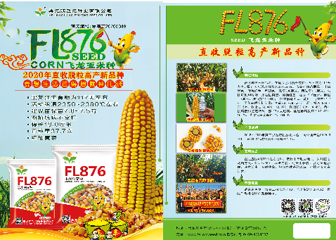 玉米FL876