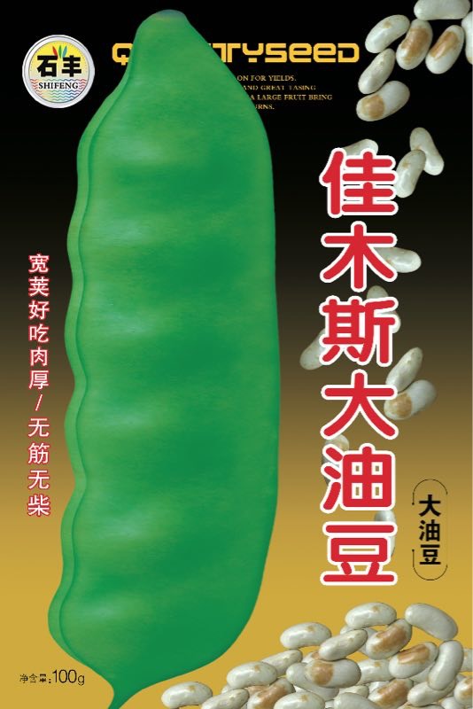 佳木斯大油豆 